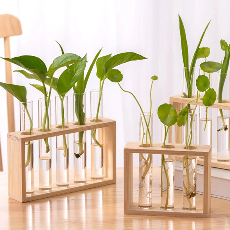 Test Tube Vase