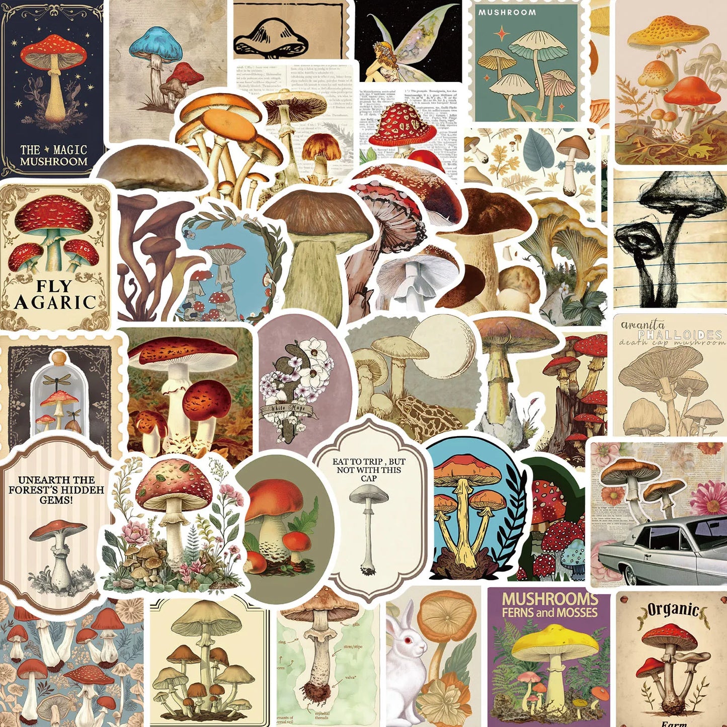 Magical mushrooms stickers