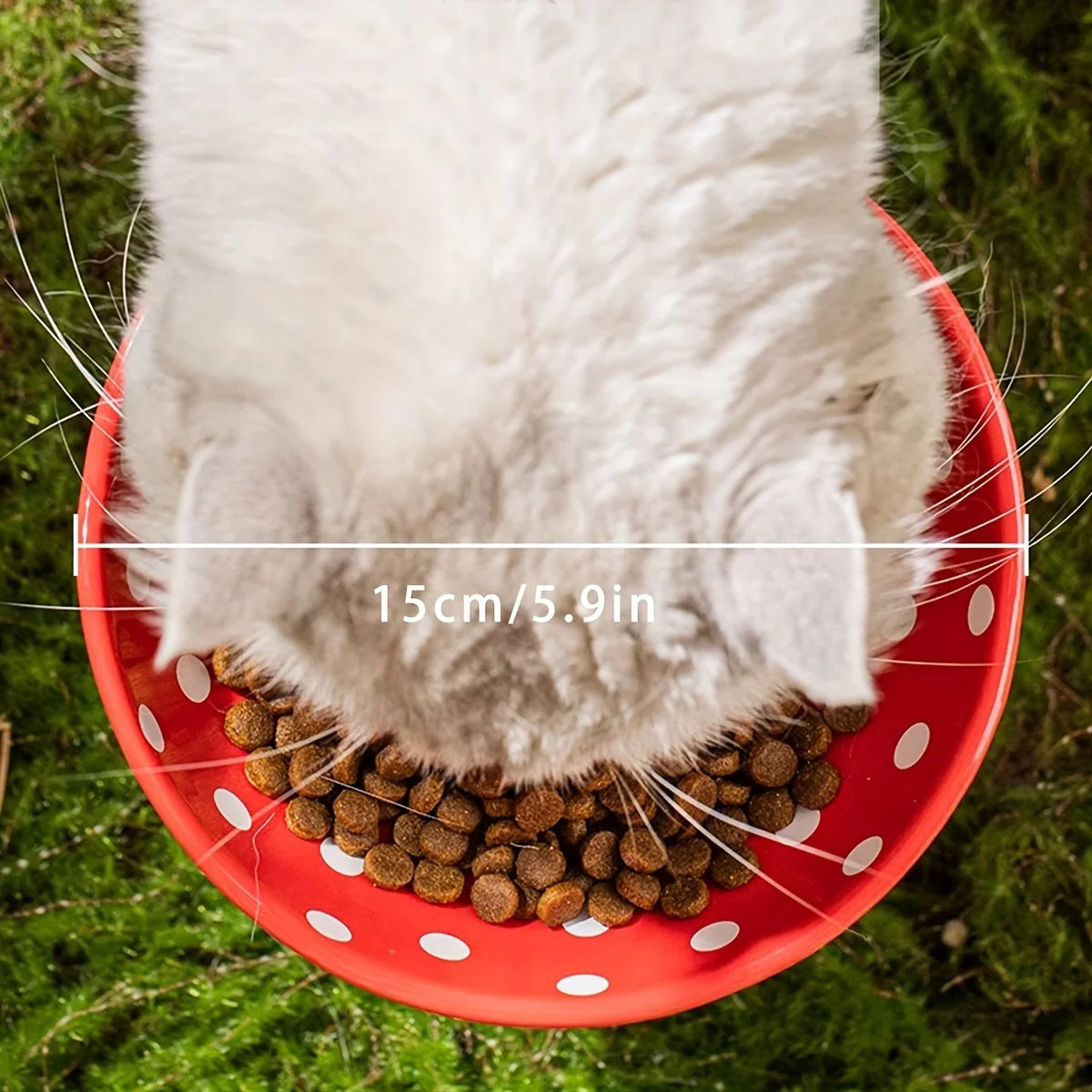 Mushroom cat bowl